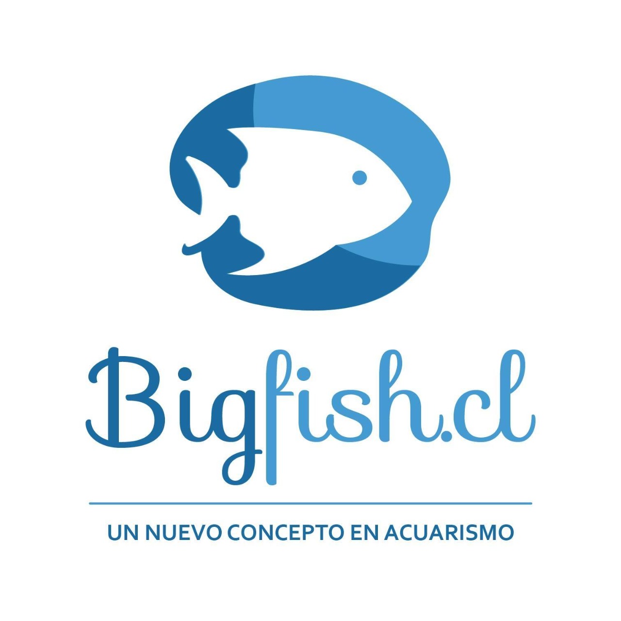 bigfish.cl