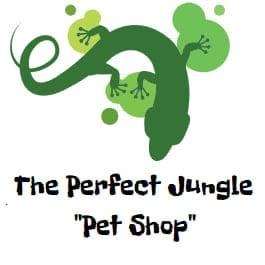 the perfect jungle pet shop