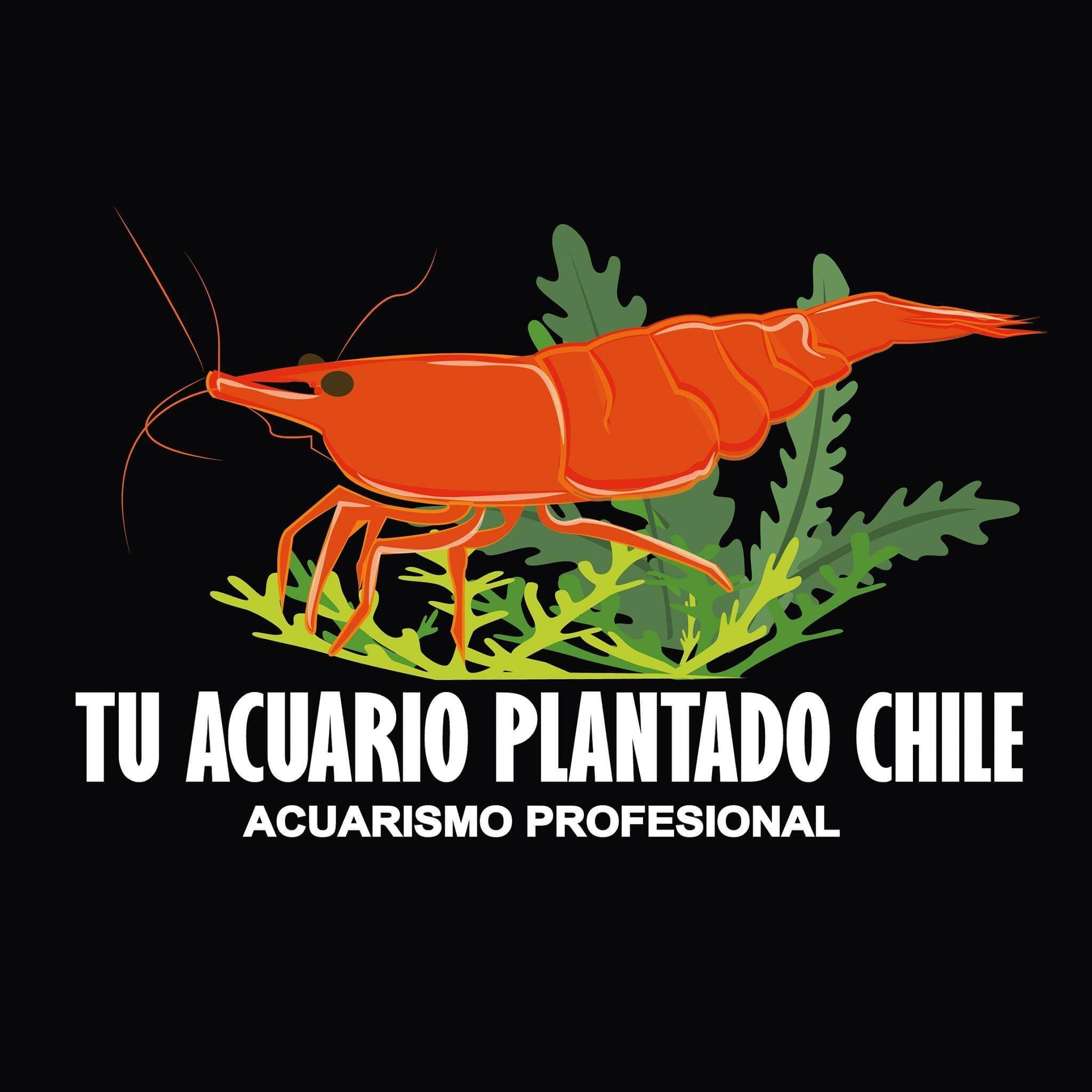 tu acuario plantado chile