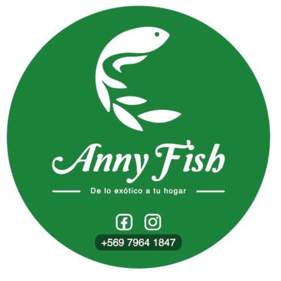 Anny fish